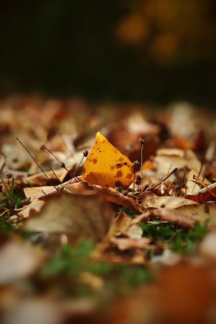 当以他为核 当以他为核