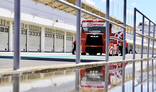 往往依赖其 往往依赖其