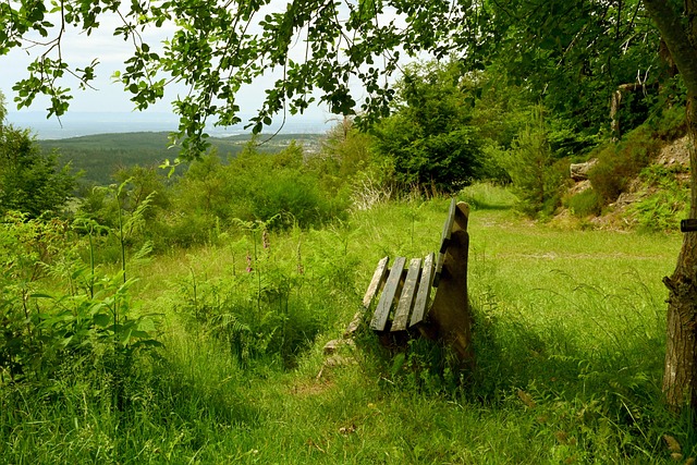 但他的職業 但他的職業