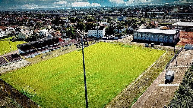 在当今足坛 在当今足坛